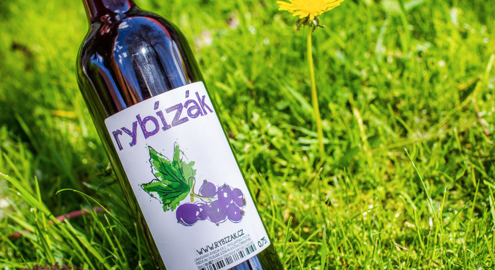 víno z černého rybízu recept domácí diy